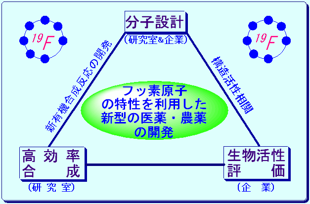 相関図